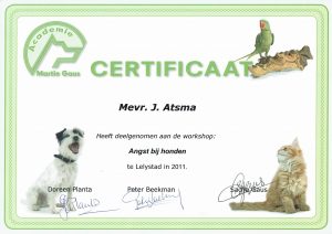 Workshop Angst bij honden